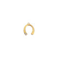 Horseshoe Charm