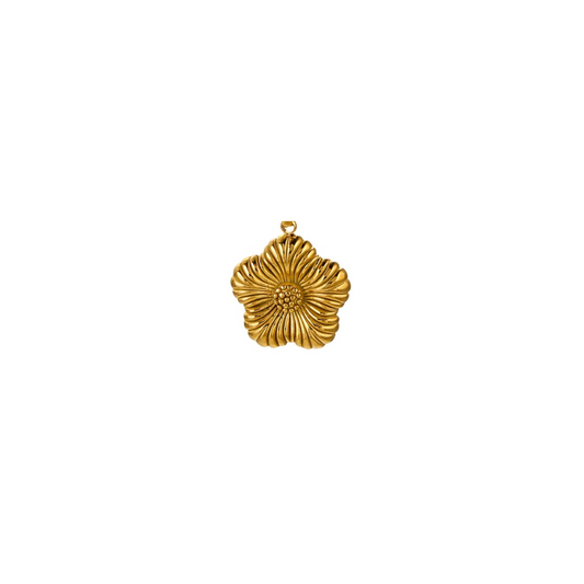 Cassia Charm