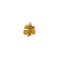 Liana Charm