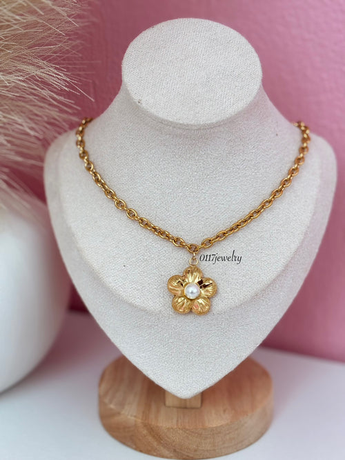 Cattleya Charm