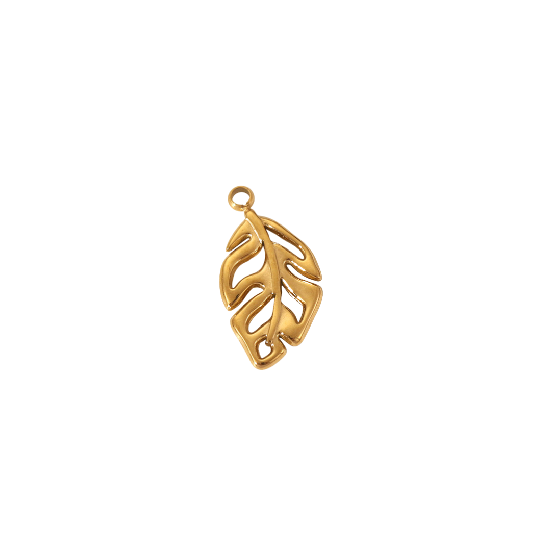 Monstera Charm