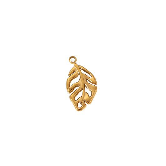 Monstera Charm